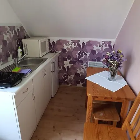 אתר קמפינג Apartament Starodworski